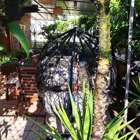 Leonida Jelsa (Hvar)